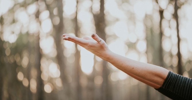 CBD Infused Coconut Oil Massage